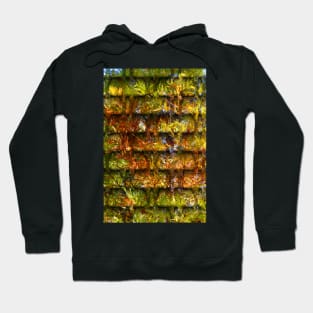 Autumn Trees in Abstract Hoodie